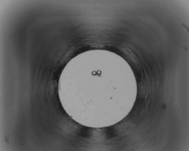 X0000092290229200710041435