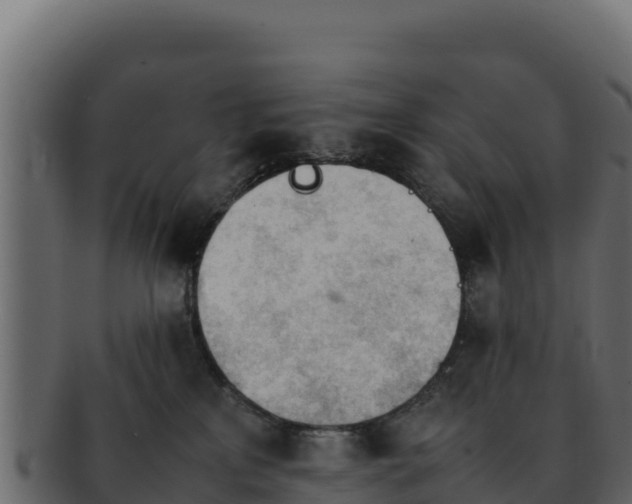 X0000092290233200710041435