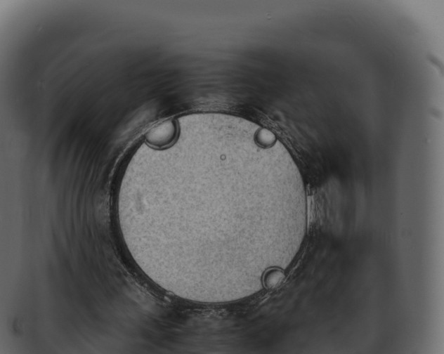 X0000092290243200710041434