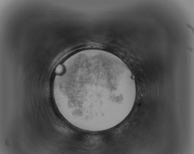 X0000092290247200710041434