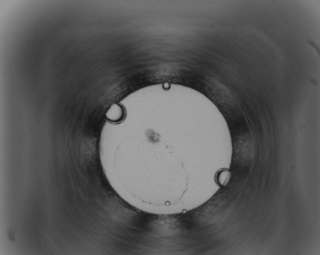 X0000092290278200710041435