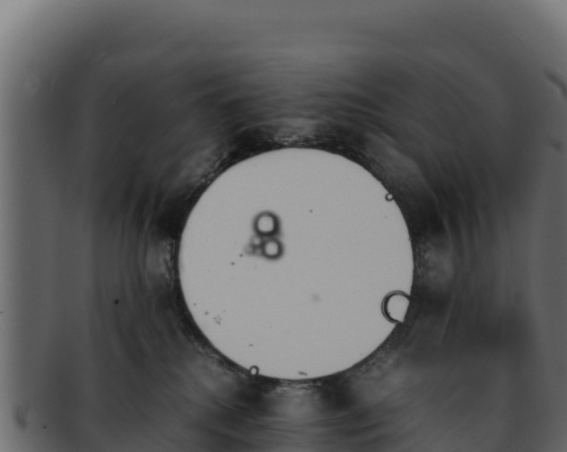 X0000092290280200710041435