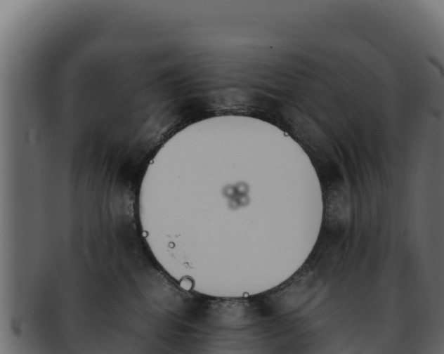 X0000092290282200710041435