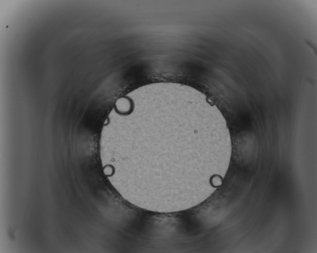 X0000092290284200710041435