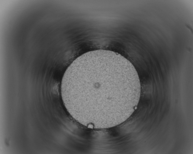 X0000092290286200710041435