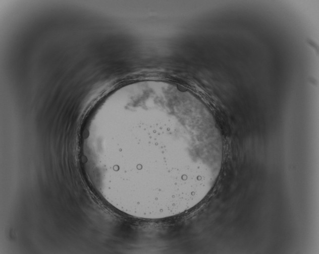 X0000092290293200710041434