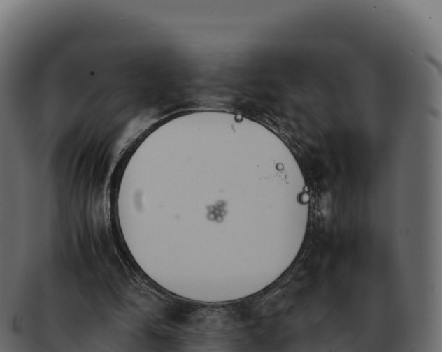 X0000092290294200710041434