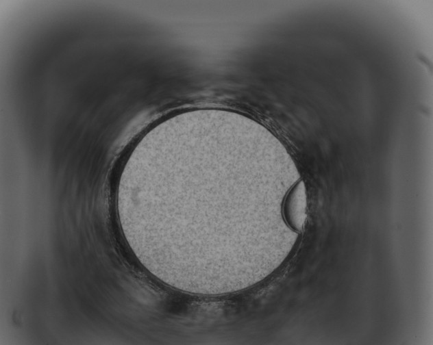 X0000092290295200710041434