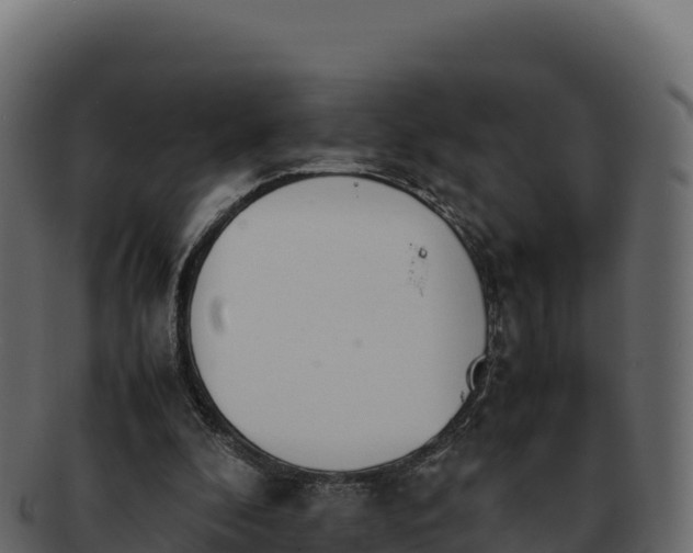 X0000092290296200710041434