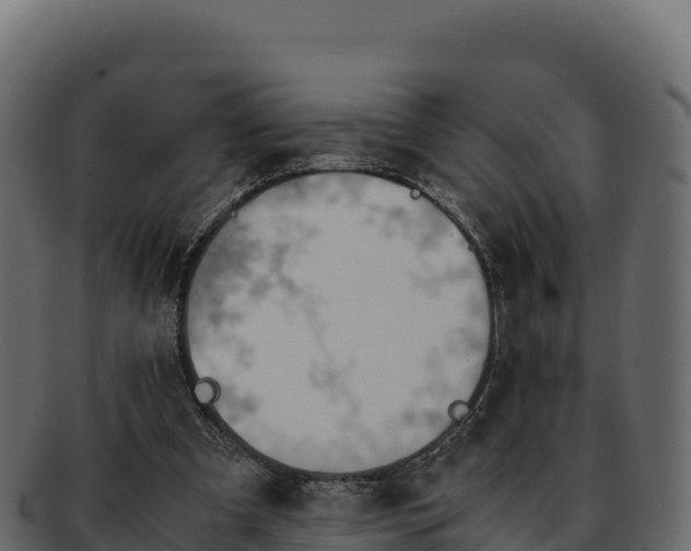 X0000092290297200710041434