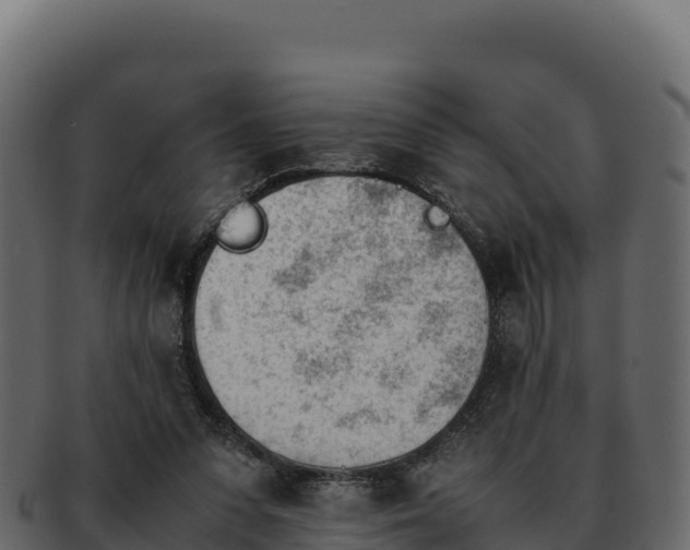 X0000092290303200710041434