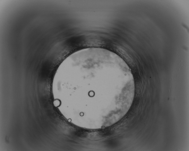 X0000092290309200710041434