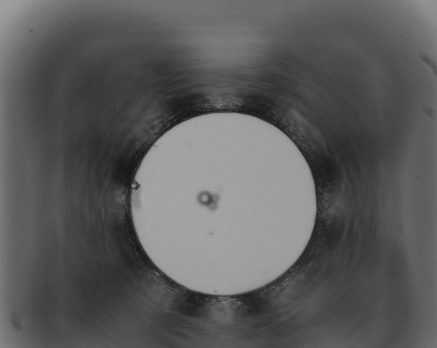 X0000092290321200710041434