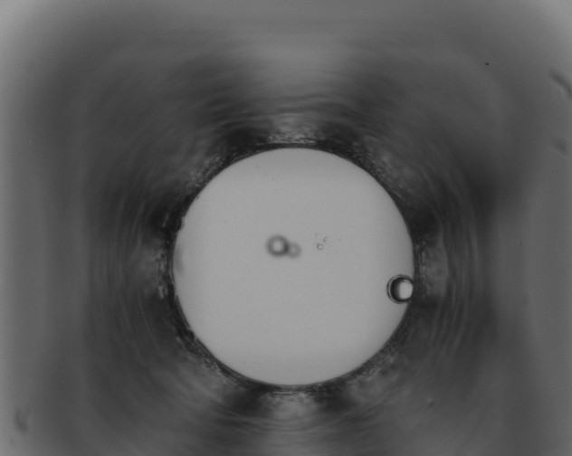 X0000092290322200710041434