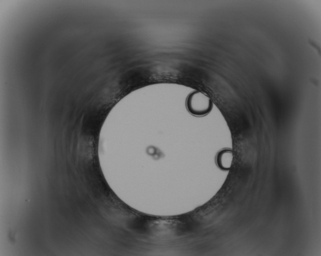 X0000092290323200710041434