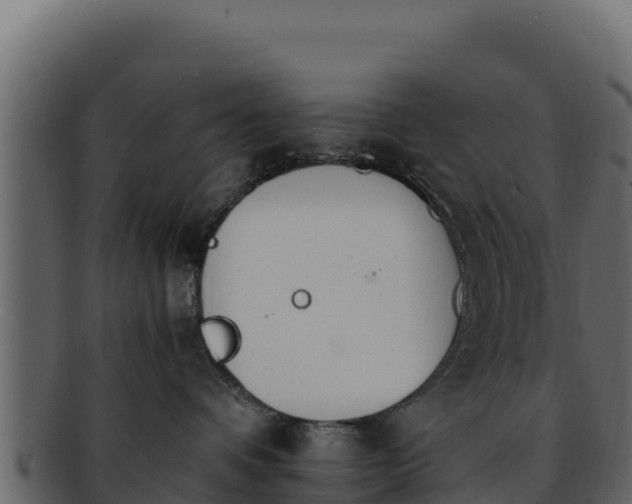 X0000092290336200710041434