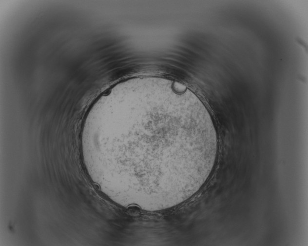 X0000092290337200710041433