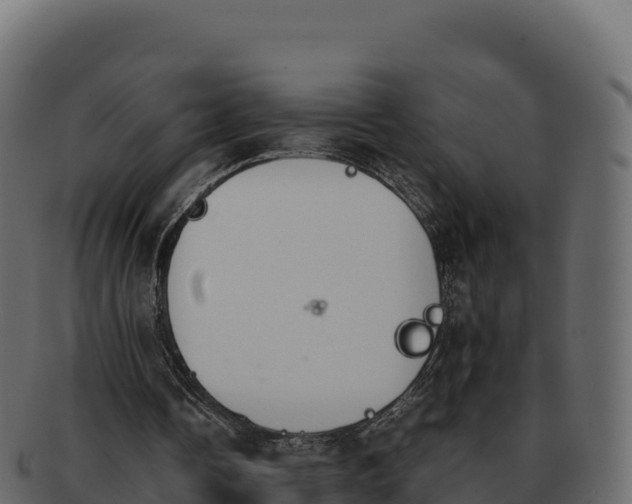 X0000092290338200710041433