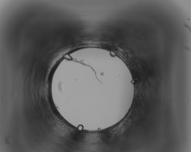 X0000092290342200710041433