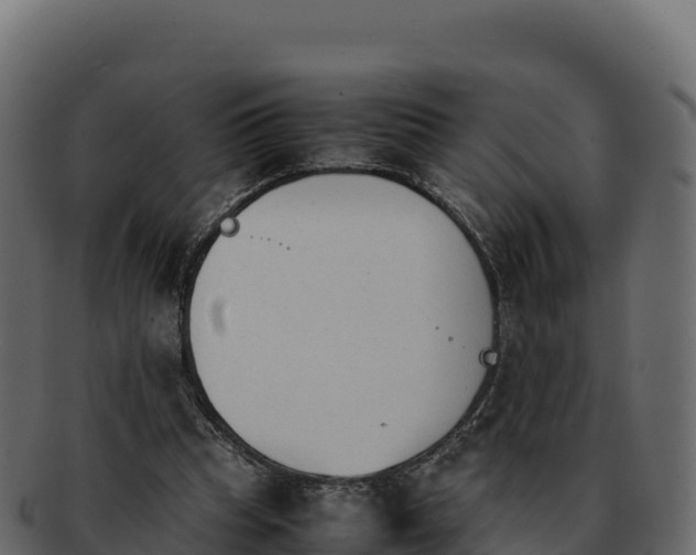 X0000092290345200710041433