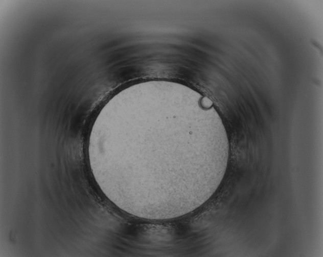 X0000092290347200710041433