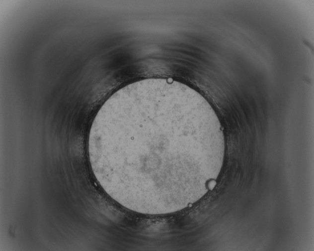 X0000092290353200710041433