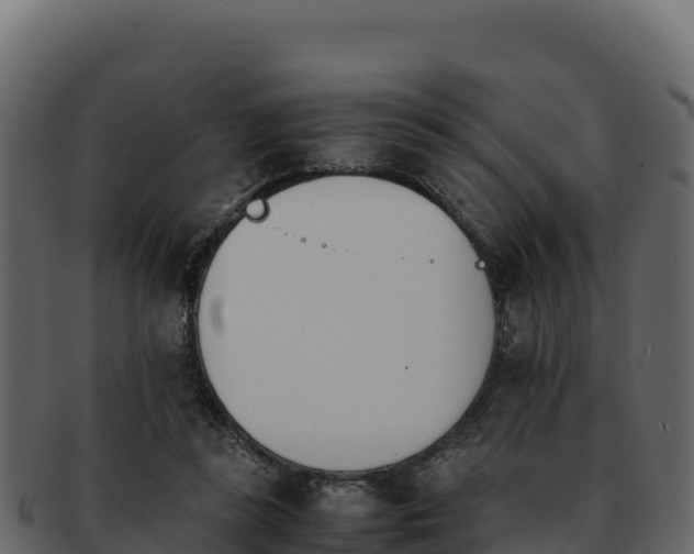 X0000092290355200710041433