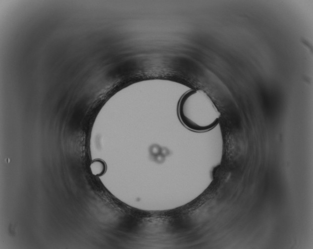 X0000092290356200710041433