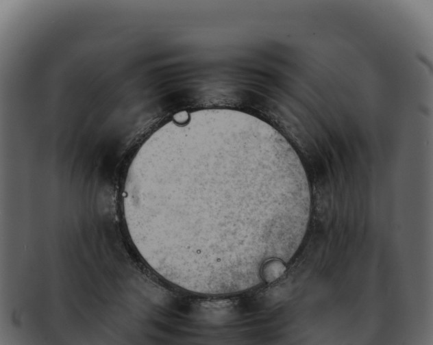 X0000092290357200710041433