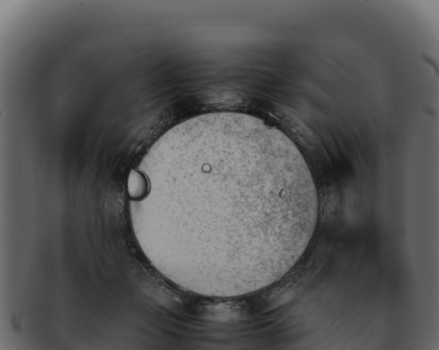 X0000092290365200710041433