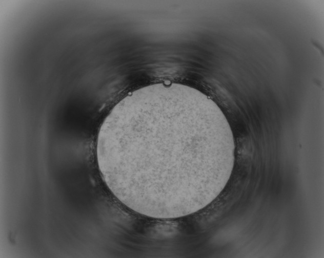 X0000092290369200710041433