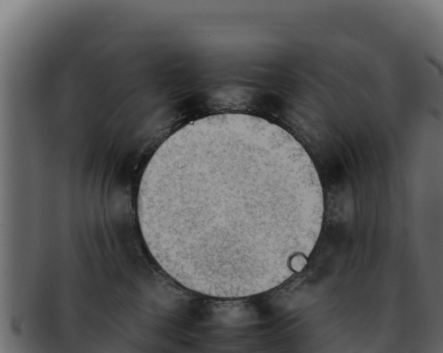 X0000092290377200710041433