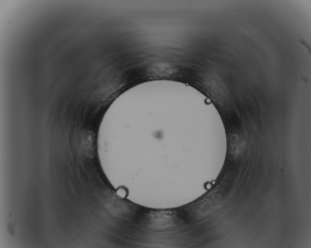 X0000092290378200710041433