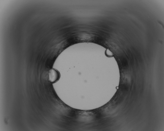 X0000092290379200710041433