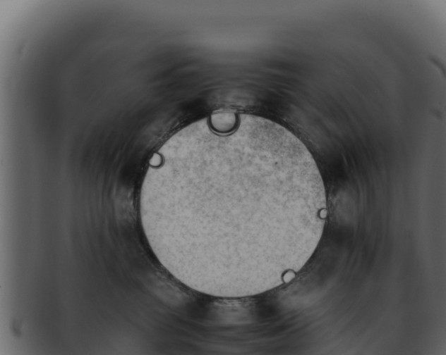 X0000092290381200710041434