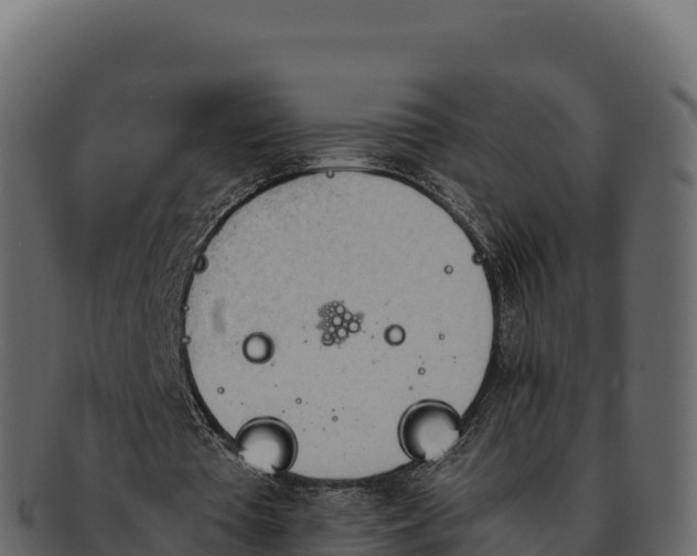 X0000092290385200710041433