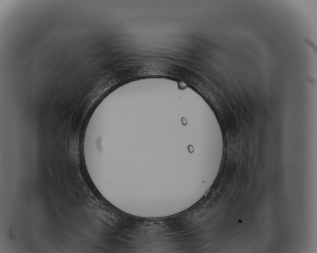 X0000092290386200710041433