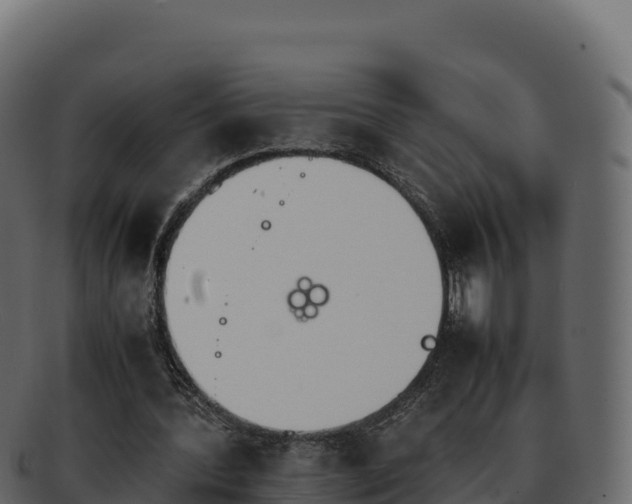 X0000092290388200710041433