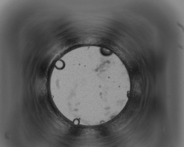 X0000092290392200710041433