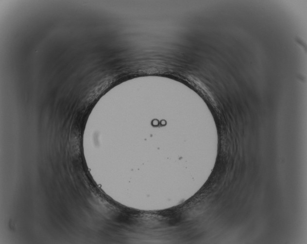 X0000092290393200710041433