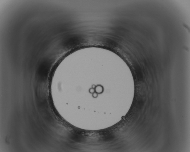 X0000092290395200710041433