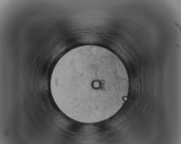 X0000092290399200710041433