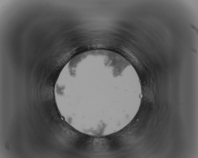 X0000092290401200710041433