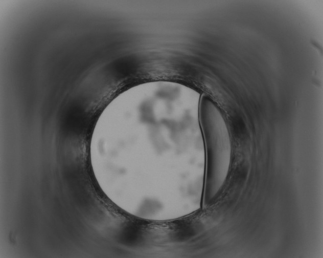 X0000092290405200710041433