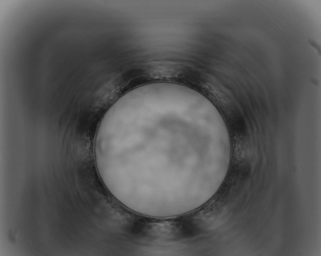 X0000092290411200710041433