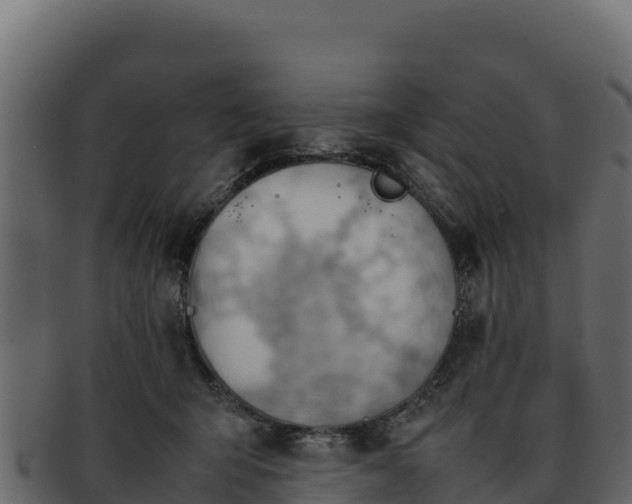 X0000092290415200710041433