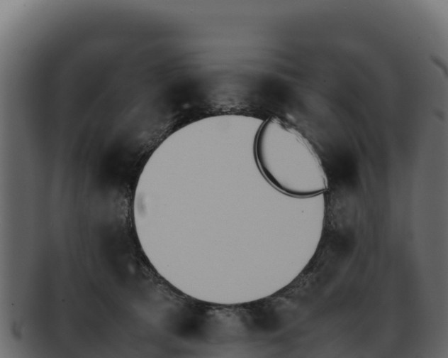 X0000092290417200710041433