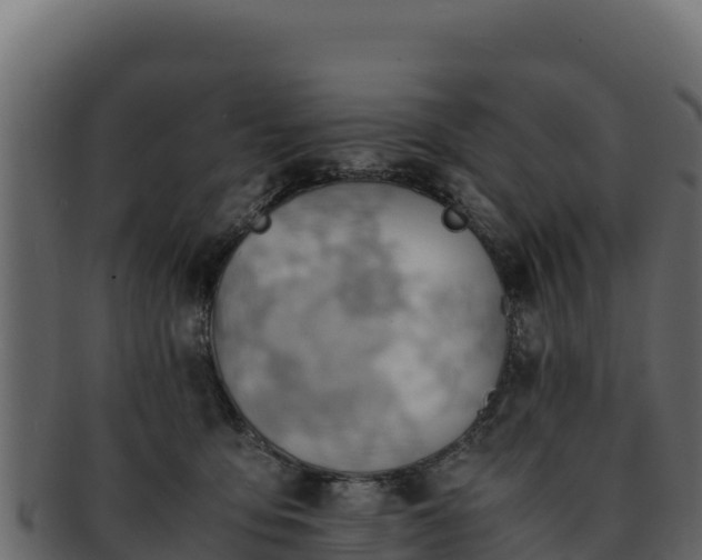 X0000092290419200710041433