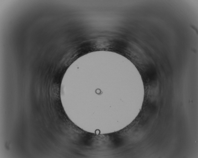 X0000092290421200710041433