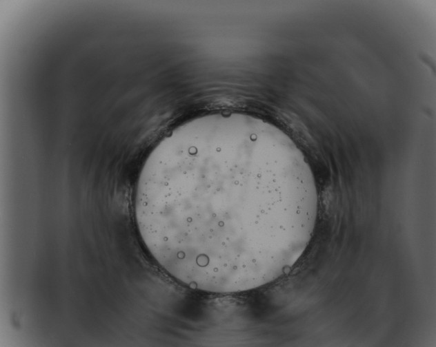 X0000092290423200710041433